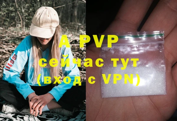гашик Новозыбков