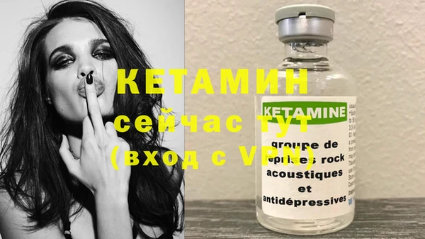 гашик Новозыбков