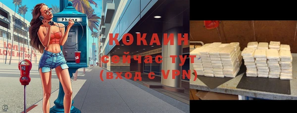 гашик Новозыбков